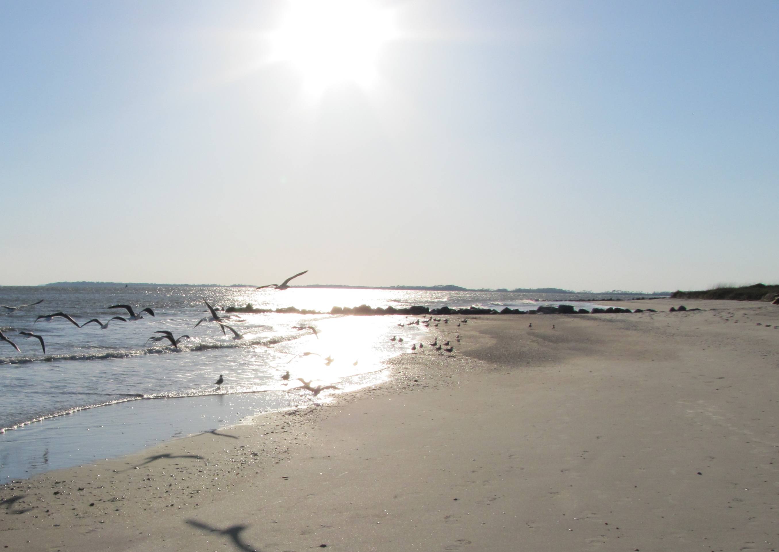 edisto island mature dating site Single and over 50 is a premier matchmaking service that connects real professional singles with other like-minded mature singles that are serious about dating. edisto island mature dating site Single and over 50 is a premier matchmaking service that connects real professional singles with other like-minded mature singles that are serious about dating.