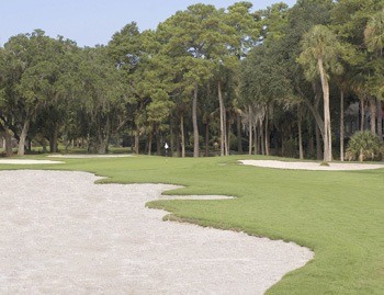 Edisto Beach Edisto Beach Golf Edisto Island Golf Edisto Beach