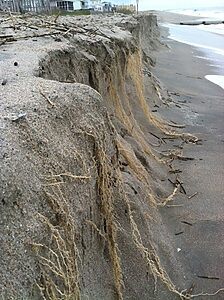 edisto-beach-erosion